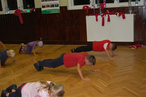 Obrázek v galerii